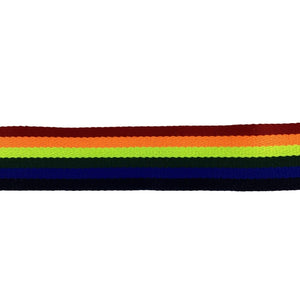 Multicolor Striped Messenger W23110047